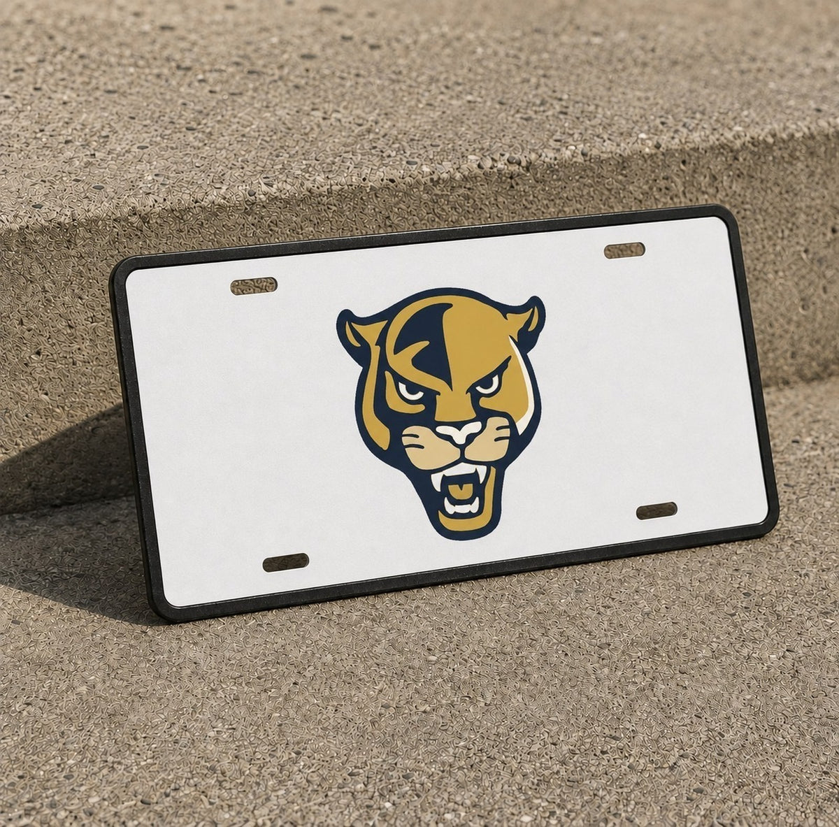 Florida International Panthers FIU License Plate Car Tag 12x6 Front
