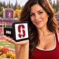 Stanford Cardinal Trailer Hitch Cover 2 Inch Receiver