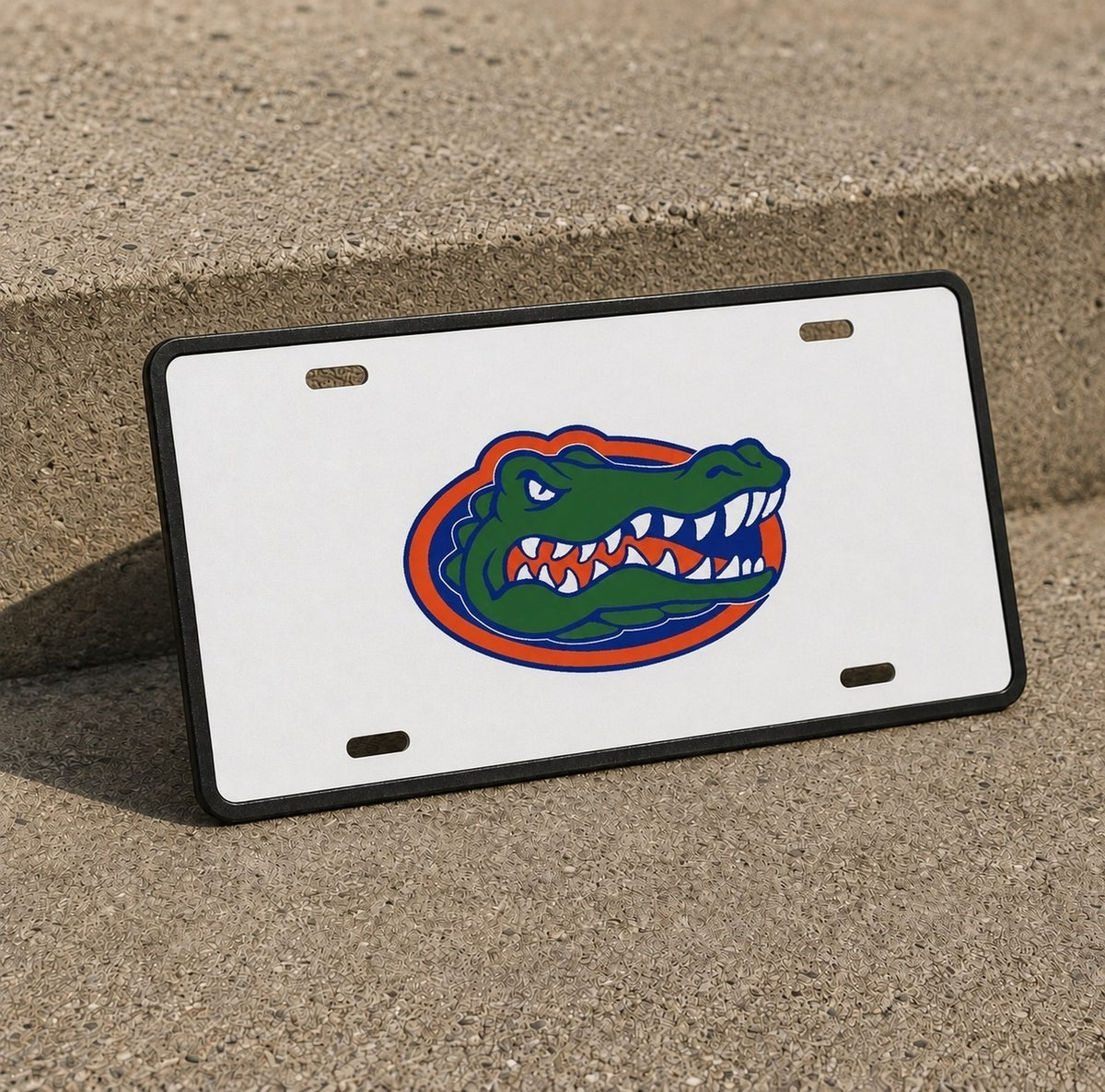 Florida Gators UF License Plate Car Tag 12x6 Front