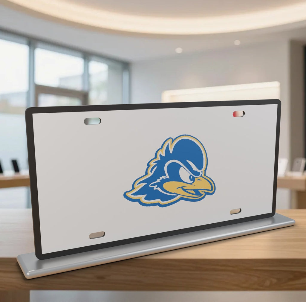 Delaware Blue Hens College Football License Plate Car Tag 12x6 Front Novelty