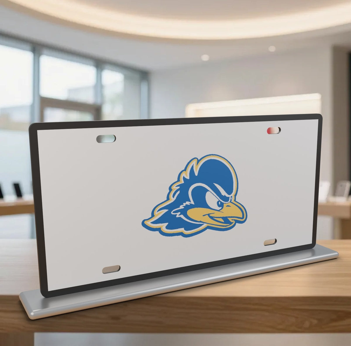 Delaware Blue Hens College Football License Plate Car Tag 12x6 Front Novelty