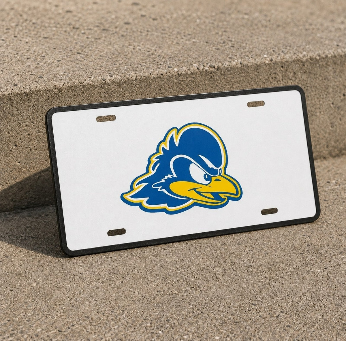 Delaware Blue Hens College Football License Plate Car Tag 12x6 Front Novelty