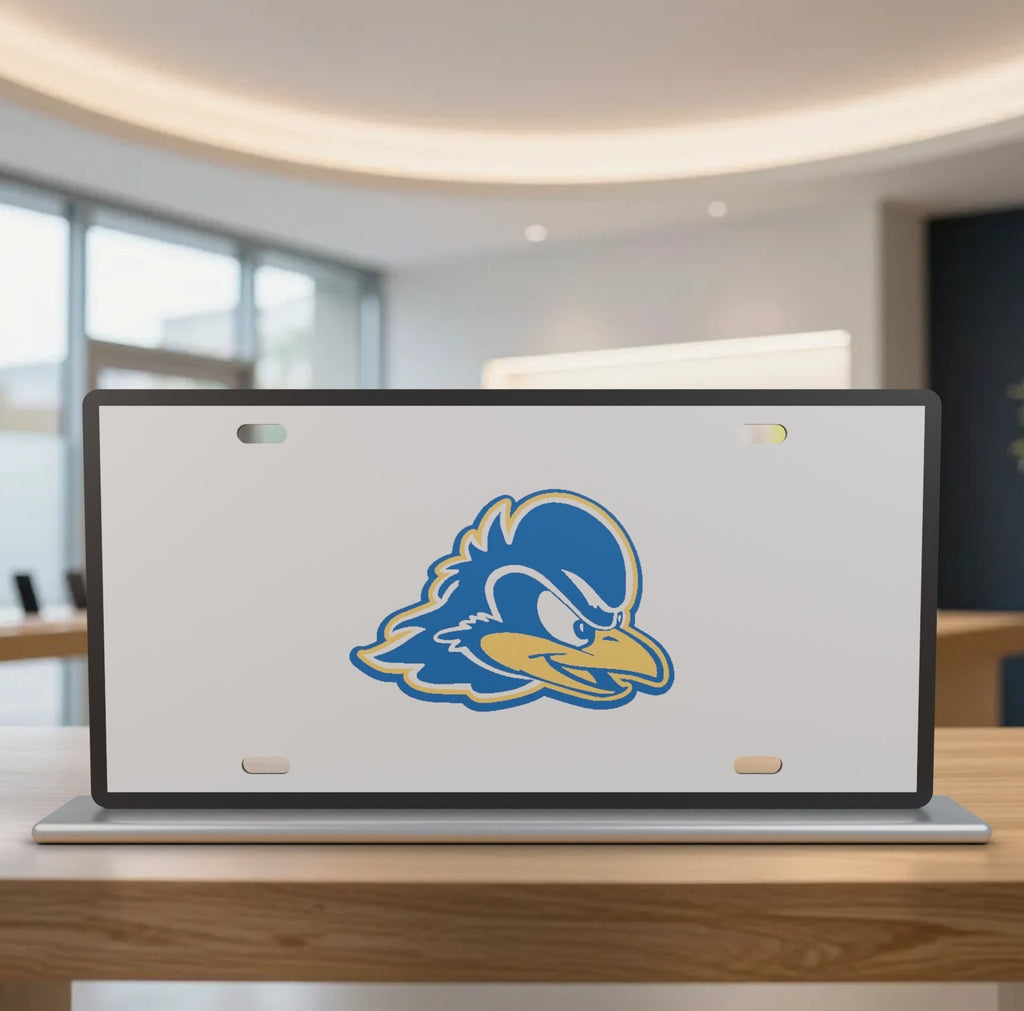 Delaware Blue Hens College Football License Plate Car Tag 12x6 Front Novelty
